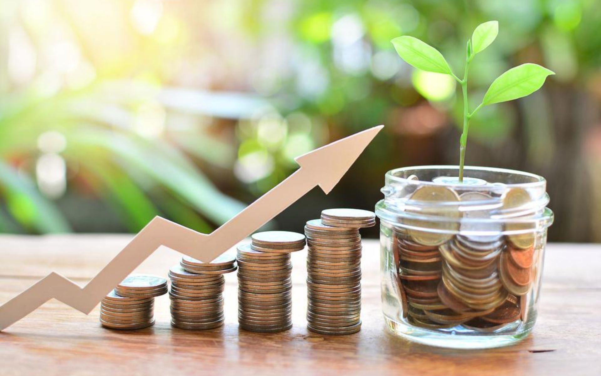 Best Financial Planners in Nerul
